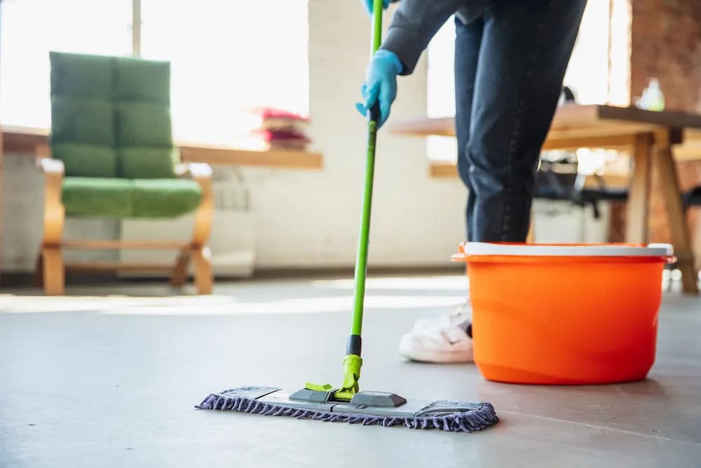About Maine Maid Services
